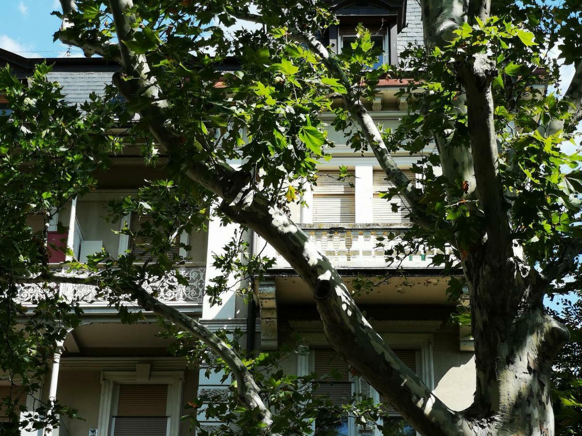 Spazioso E Accogliente Nel Centro Di Мерано Экстерьер фото